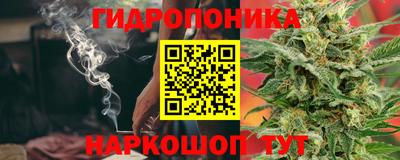 СК Севастополь
