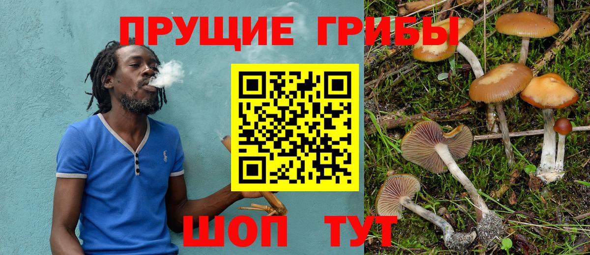 Псилоцибиновые грибы прущие грибы  Вход с VPN  Обнинск 